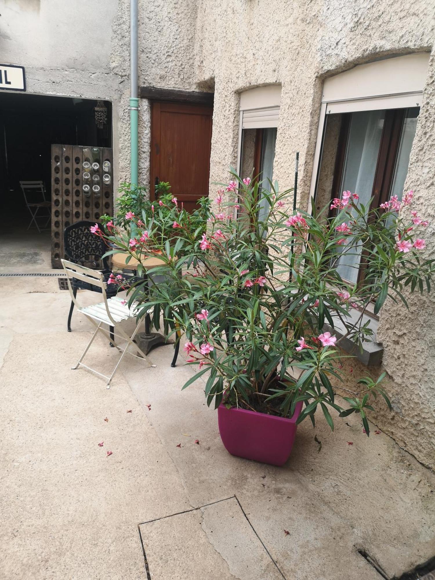 Cottage Au Terminus 3 Climatise Hautvillers Ngoại thất bức ảnh